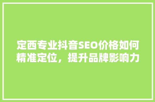 定西专业抖音SEO价格如何精准定位，提升品牌影响力