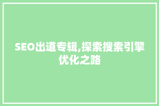 SEO出道专辑,探索搜索引擎优化之路