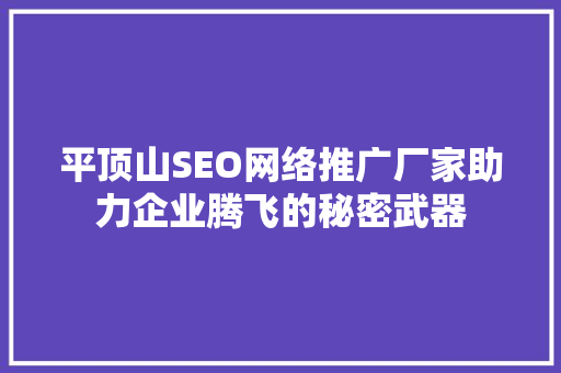 平顶山SEO网络推广厂家助力企业腾飞的秘密武器