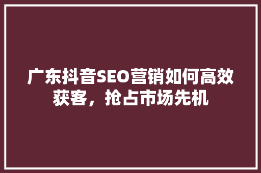 广东抖音SEO营销如何高效获客，抢占市场先机