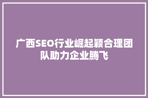 广西SEO行业崛起颖合理团队助力企业腾飞