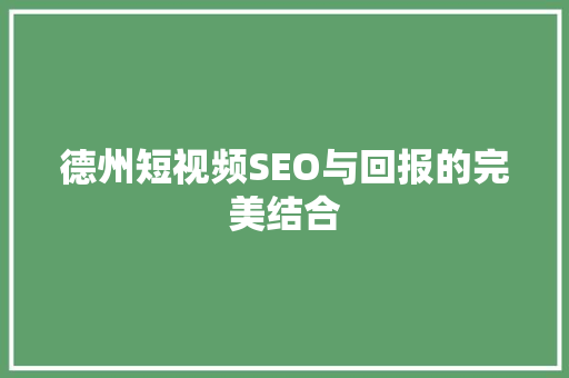 德州短视频SEO与回报的完美结合