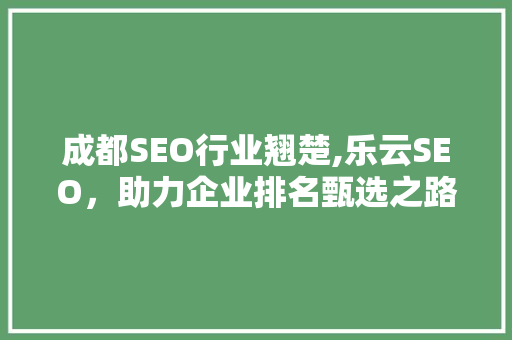 成都SEO行业翘楚,乐云SEO，助力企业排名甄选之路