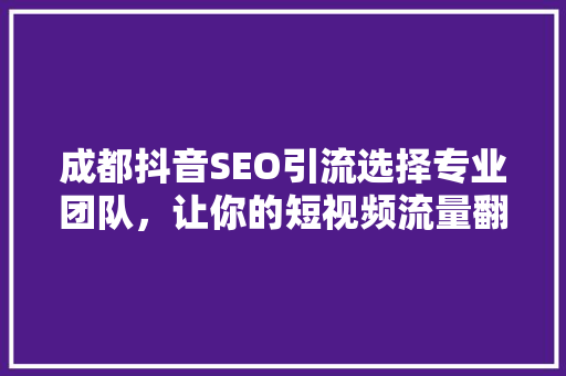 成都抖音SEO引流选择专业团队，让你的短视频流量翻倍