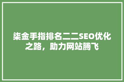柒金手指排名二二SEO优化之路，助力网站腾飞