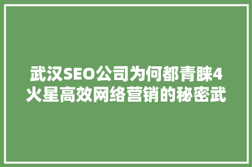 武汉SEO公司为何都青睐4火星高效网络营销的秘密武器