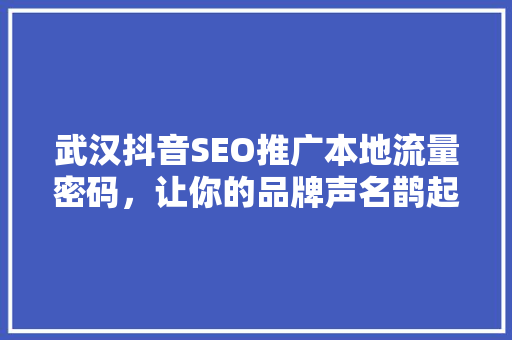 武汉抖音SEO推广本地流量密码，让你的品牌声名鹊起