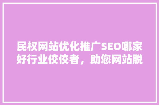 民权网站优化推广SEO哪家好行业佼佼者，助您网站脱颖而出