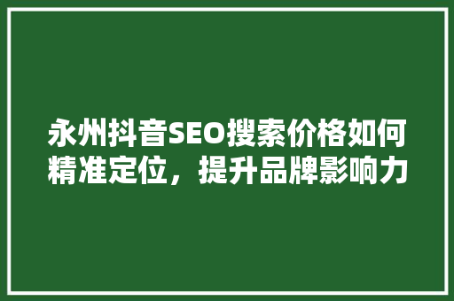 永州抖音SEO搜索价格如何精准定位，提升品牌影响力