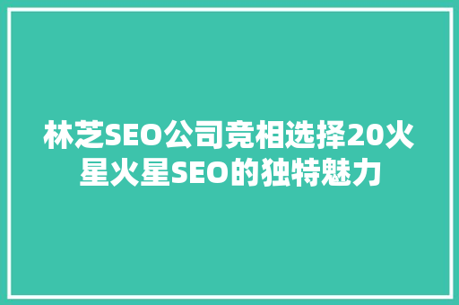 林芝SEO公司竞相选择20火星火星SEO的独特魅力