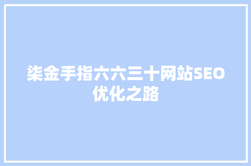 柒金手指六六三十网站SEO优化之路