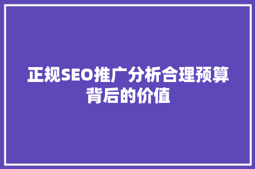 正规SEO推广分析合理预算背后的价值