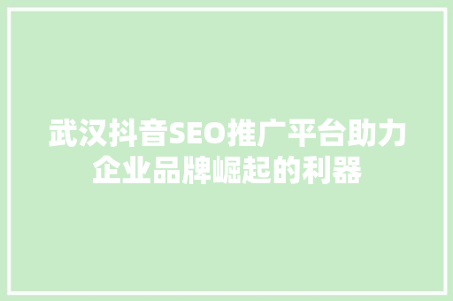 武汉抖音SEO推广平台助力企业品牌崛起的利器