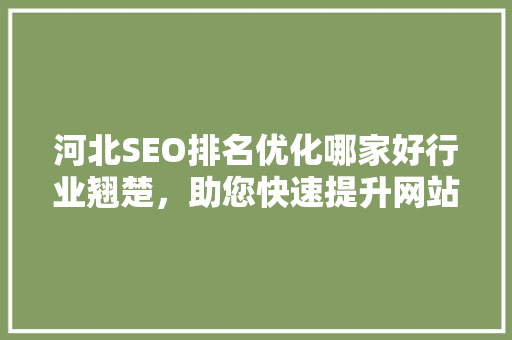 河北SEO排名优化哪家好行业翘楚，助您快速提升网站流量