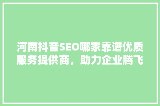河南抖音SEO哪家靠谱优质服务提供商，助力企业腾飞