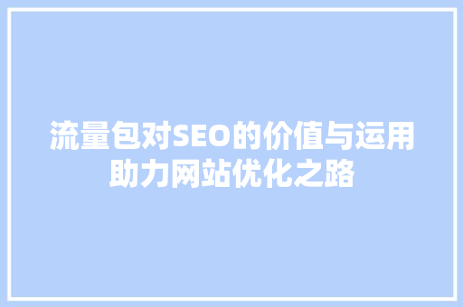 流量包对SEO的价值与运用助力网站优化之路