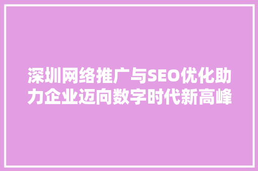 深圳网络推广与SEO优化助力企业迈向数字时代新高峰