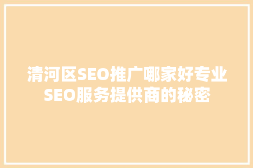 清河区SEO推广哪家好专业SEO服务提供商的秘密