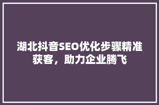 湖北抖音SEO优化步骤精准获客，助力企业腾飞