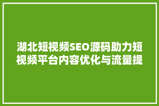 湖北短视频SEO源码助力短视频平台内容优化与流量提升