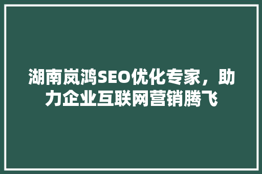 湖南岚鸿SEO优化专家，助力企业互联网营销腾飞  第1张