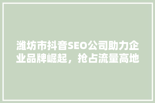 潍坊市抖音SEO公司助力企业品牌崛起，抢占流量高地