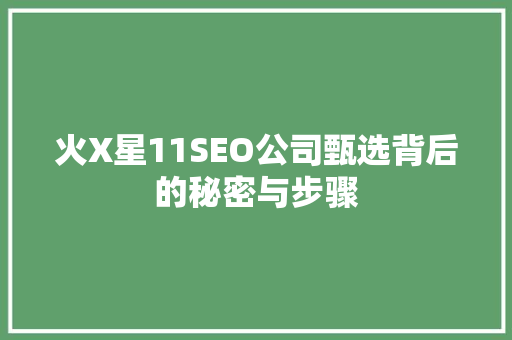 火X星11SEO公司甄选背后的秘密与步骤