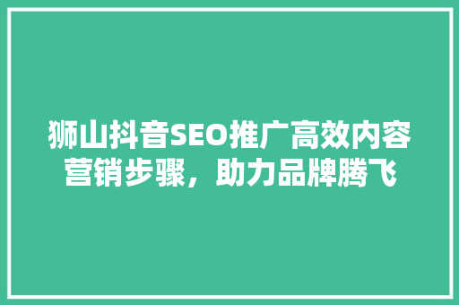 狮山抖音SEO推广高效内容营销步骤，助力品牌腾飞