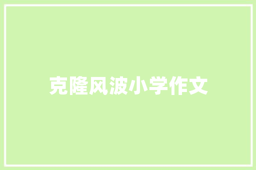 盐城SEO行业翘楚,17火星，助力企业腾飞