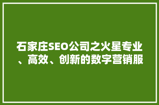 石家庄SEO公司之火星专业、高效、创新的数字营销服务引领者