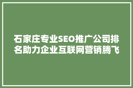 石家庄专业SEO推广公司排名助力企业互联网营销腾飞