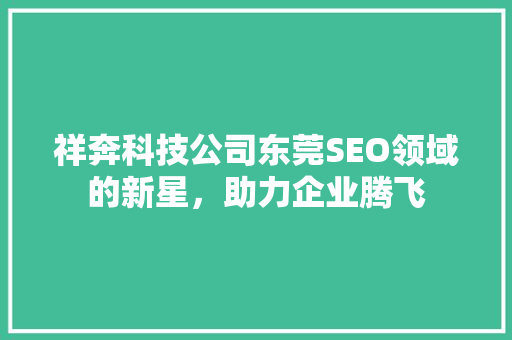 祥奔科技公司东莞SEO领域的新星，助力企业腾飞