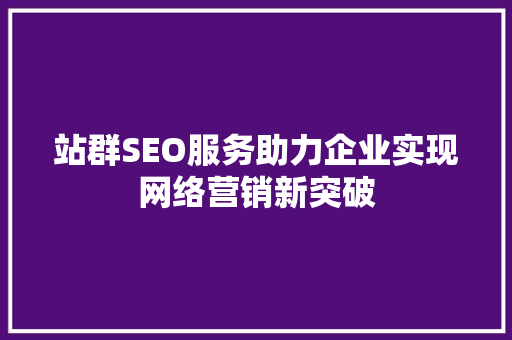 站群SEO服务助力企业实现网络营销新突破