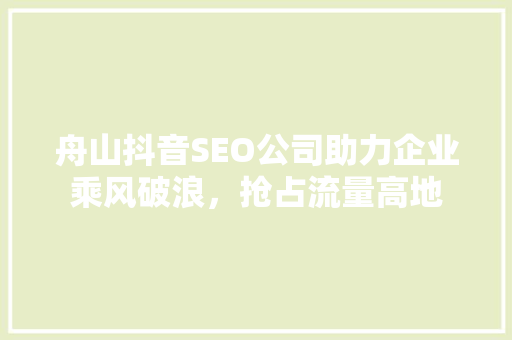 舟山抖音SEO公司助力企业乘风破浪，抢占流量高地