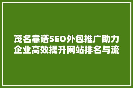 茂名靠谱SEO外包推广助力企业高效提升网站排名与流量