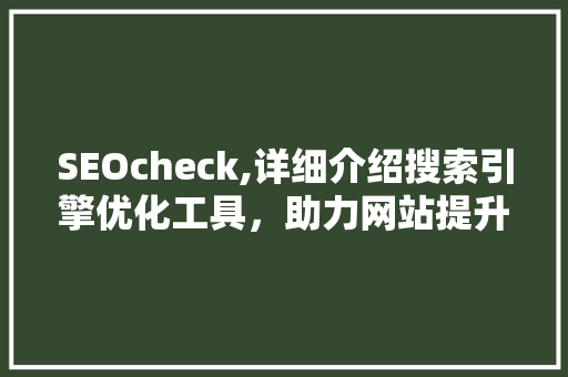 SEOcheck,详细介绍搜索引擎优化工具，助力网站提升排名