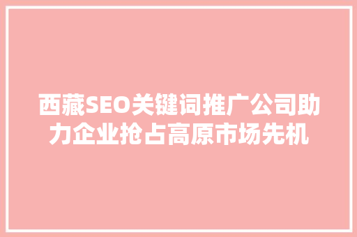 西藏SEO关键词推广公司助力企业抢占高原市场先机