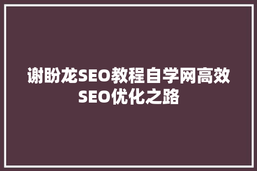 谢盼龙SEO教程自学网高效SEO优化之路