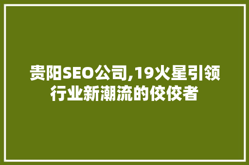贵阳SEO公司,19火星引领行业新潮流的佼佼者