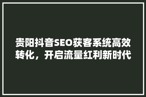 贵阳抖音SEO获客系统高效转化，开启流量红利新时代