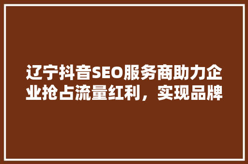 辽宁抖音SEO服务商助力企业抢占流量红利，实现品牌腾飞