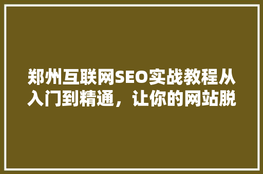 郑州互联网SEO实战教程从入门到精通，让你的网站脱颖而出