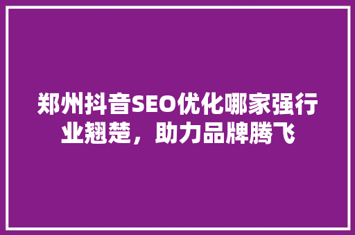 郑州抖音SEO优化哪家强行业翘楚，助力品牌腾飞