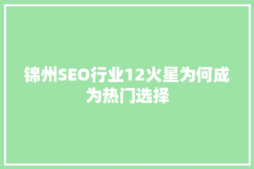 锦州SEO行业12火星为何成为热门选择