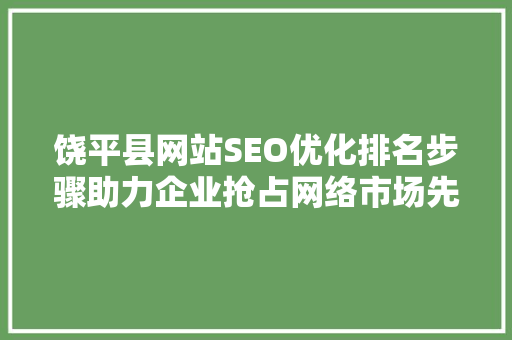 饶平县网站SEO优化排名步骤助力企业抢占网络市场先机