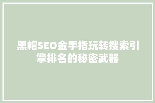 黑帽SEO金手指玩转搜索引擎排名的秘密武器