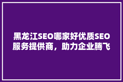黑龙江SEO哪家好优质SEO服务提供商，助力企业腾飞
