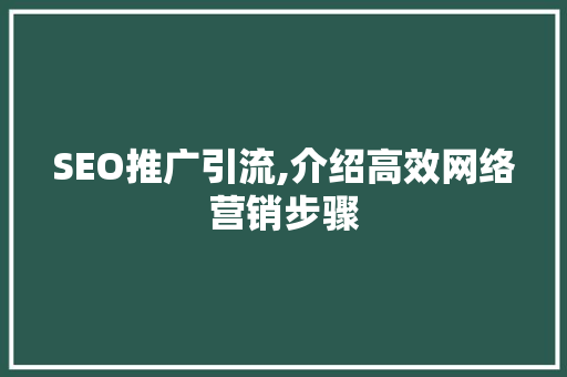SEO推广引流,介绍高效网络营销步骤