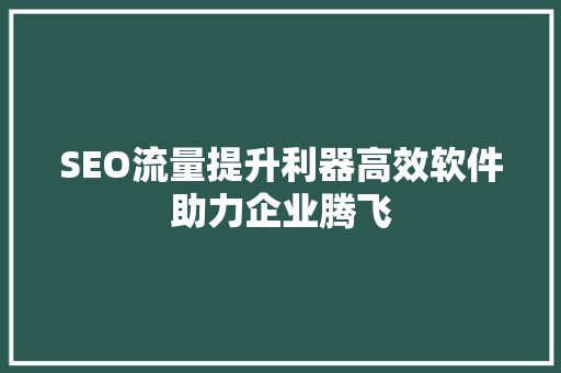 SEO流量提升利器高效软件助力企业腾飞