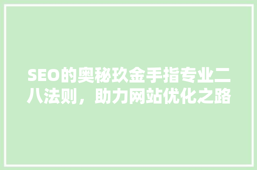 SEO的奥秘玖金手指专业二八法则，助力网站优化之路